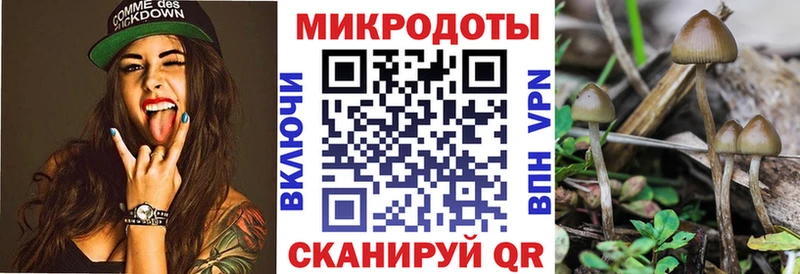 Галлюциногенные грибы ЛСД  Болхов 